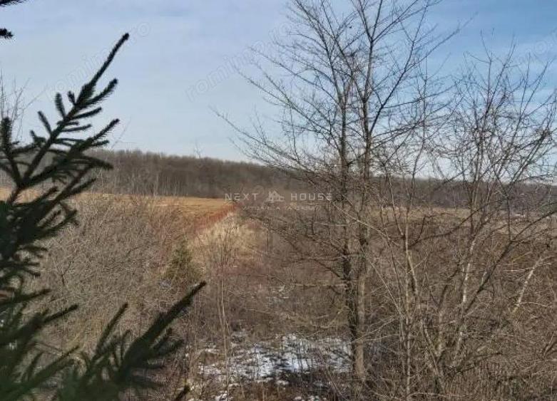 Teren la 35 km de Bucuresti - Izvorani - Ciolpani - 7