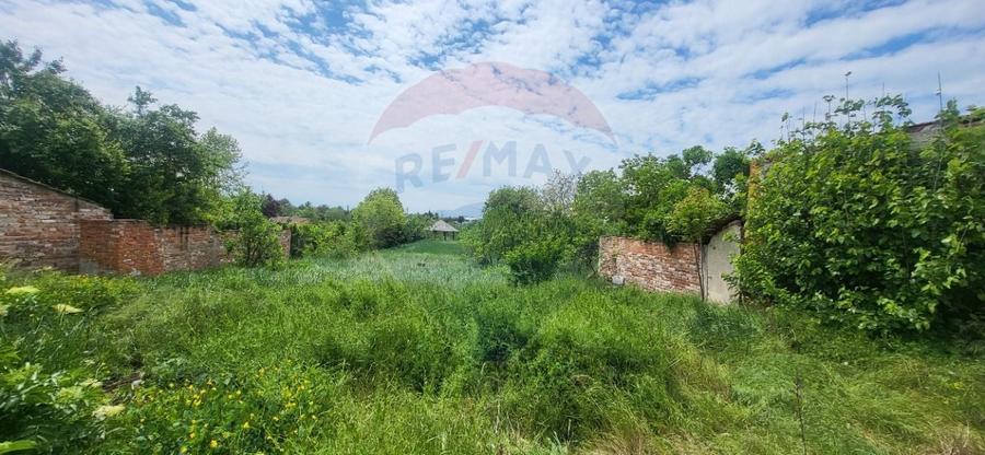 Teren Aradul Nou-2.311mp cu livada si utilitati, ideal pentru locuinte - 1