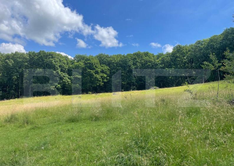 Teren extravilan de vanzare, 740 mp, zona Taberei - 1