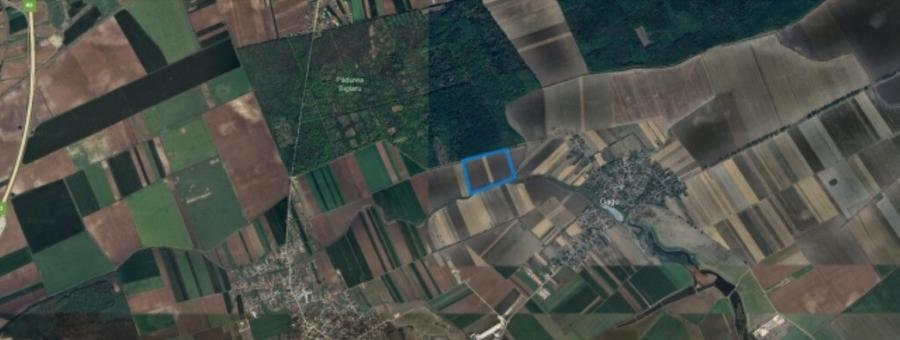 Teren de vanzare in Ilfov, Gagu, deschidere 74ml, 20762mp, 62.000euro - 1