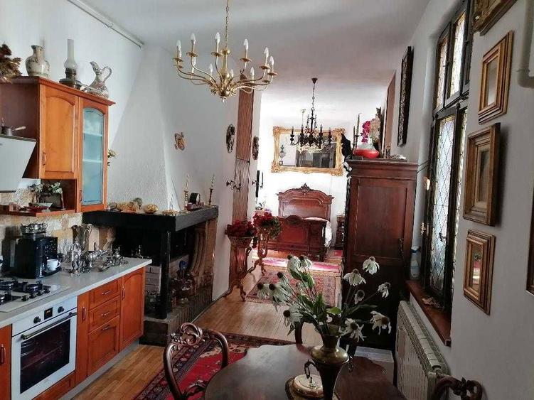 COTROCENI - Aici a visat si a creat pictorului Zamfir DUMITRESCU - 1