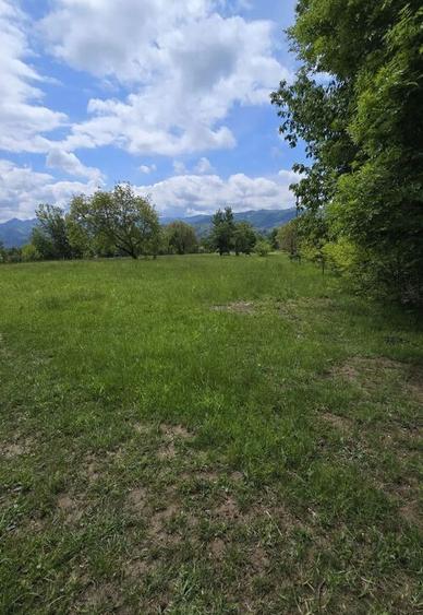 Teren intravilan - 2 minute de centru Prundu Bargaului - ... - 3