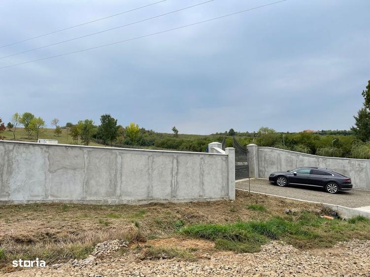 Teren cu balta 11.600 mp,Viile Satu Mare - 6