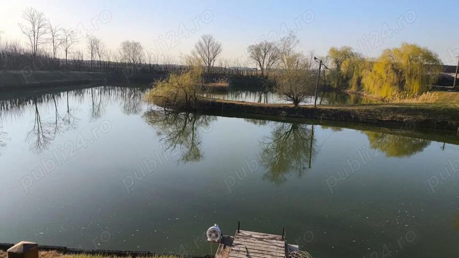 Proprietate de poveste in Sannicolau Mare - 9