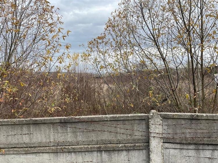 RECO vindem teren intravilan in Suncuius - 5