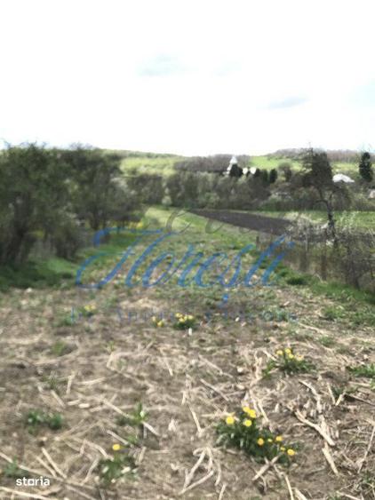 Teren intravilan 1.900 mp Macicasu, Chinteni - 1