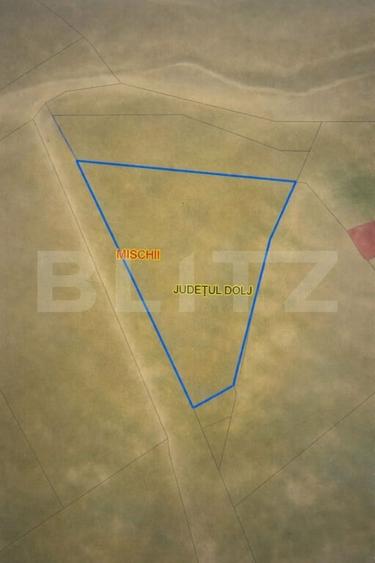 Teren IV 1.331 mp, deschidere bilaterala, toate utilitatile, Mischii - 2