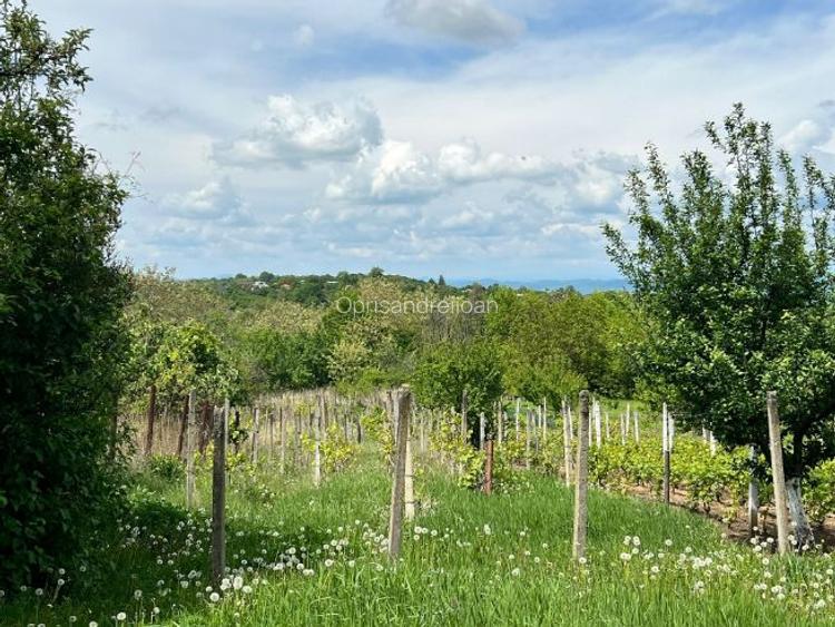 Teren Intravilan - Seciu, Prahova Teren Intravilan - Seciu, Prahova