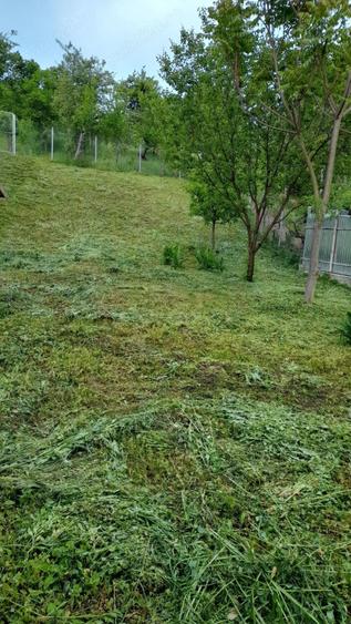 Casa de vanzare in Curita,com.Casin,jud.Bacau - 6