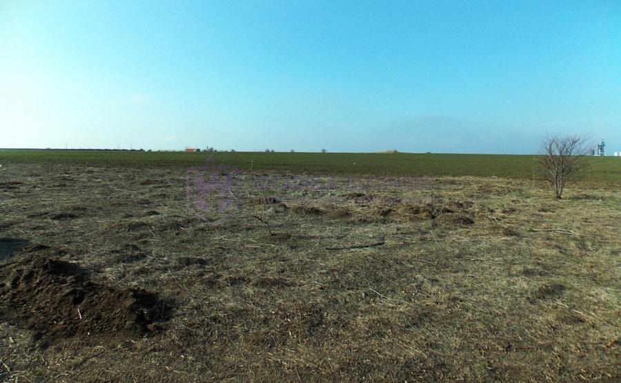 OVIDIU - ACADEMIE - Teren intravilan 674 mp pentru una sau doua case! - 3