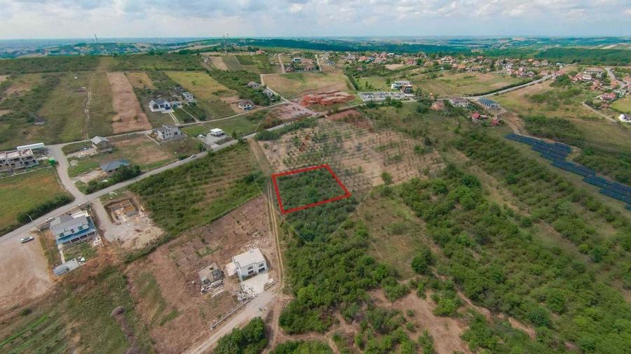 Teren intravilan 1,163mp de vanzare in Saldabagiu De Munte - 3