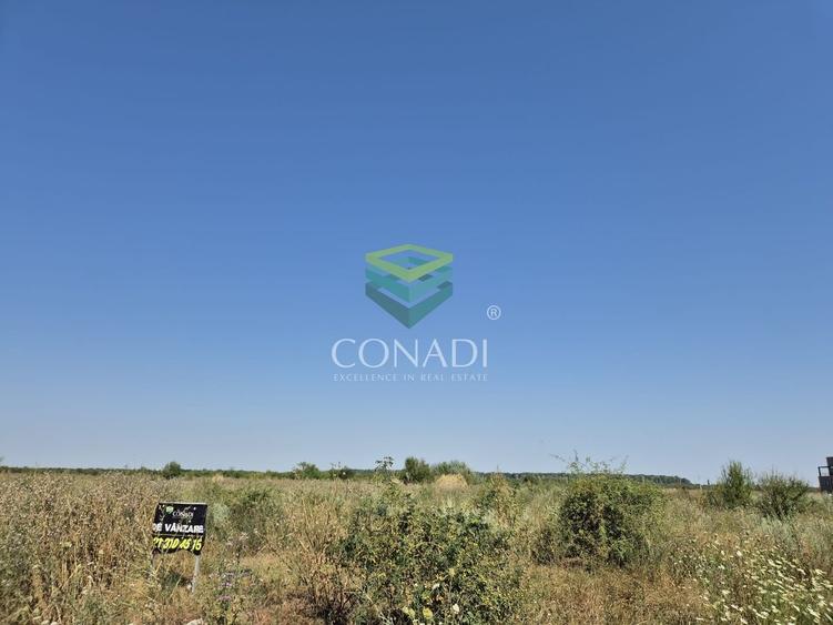 Teren de vanzare cu autorizatie pentru 2 hale - Otopeni - 10.000 mp - 16