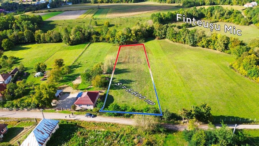 Teren 5,600mp Finteusu Mic / Strada Principala - 2