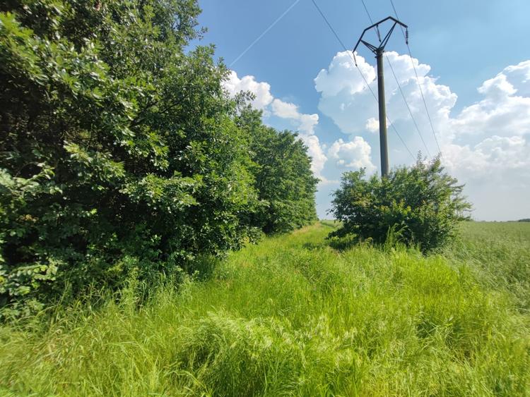 Corbeanca-teren-PUZ-proiect-avans cu rest de plata in 5 ani - 11