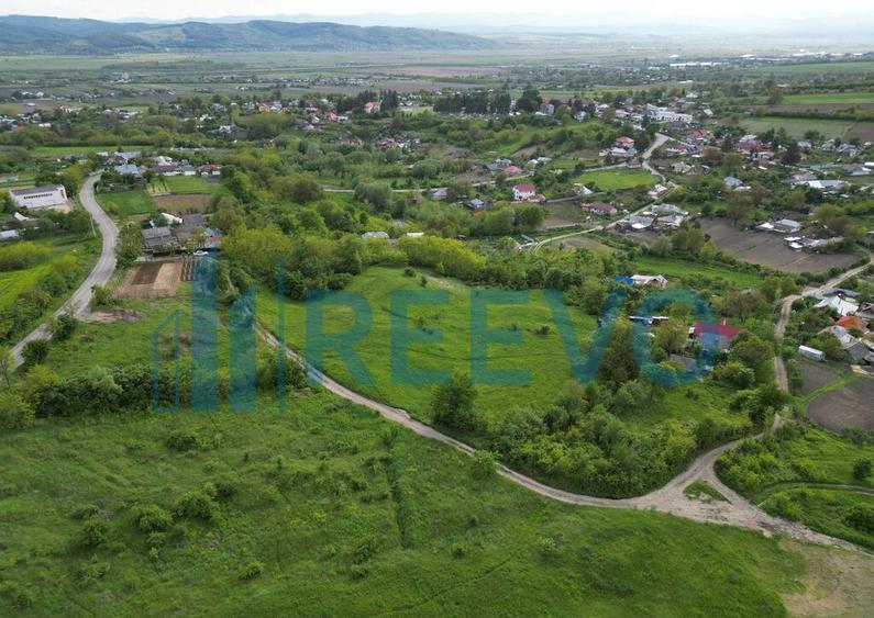 Teren de vanzare, Com. Racova, Str. Bradului, Bacau - 8