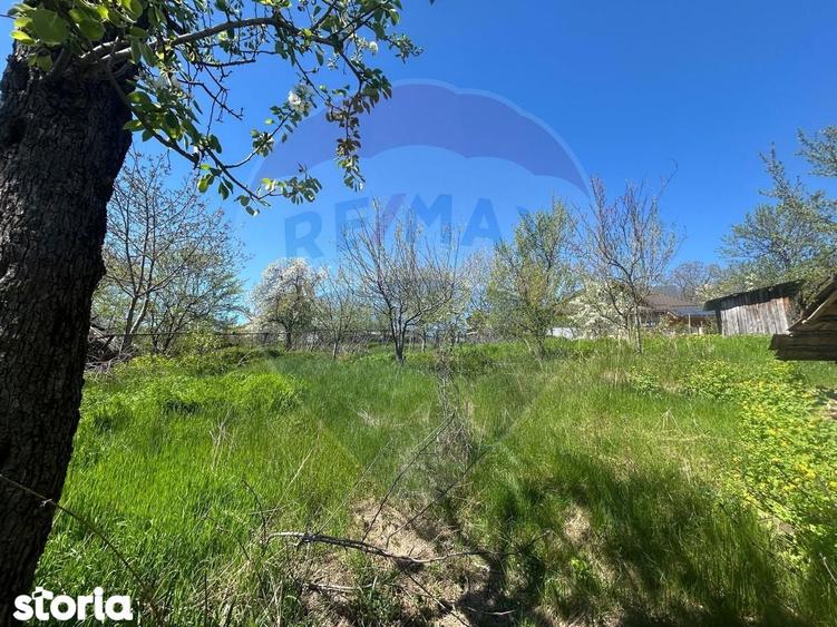 Casa bunicilor de vanzare. - 15