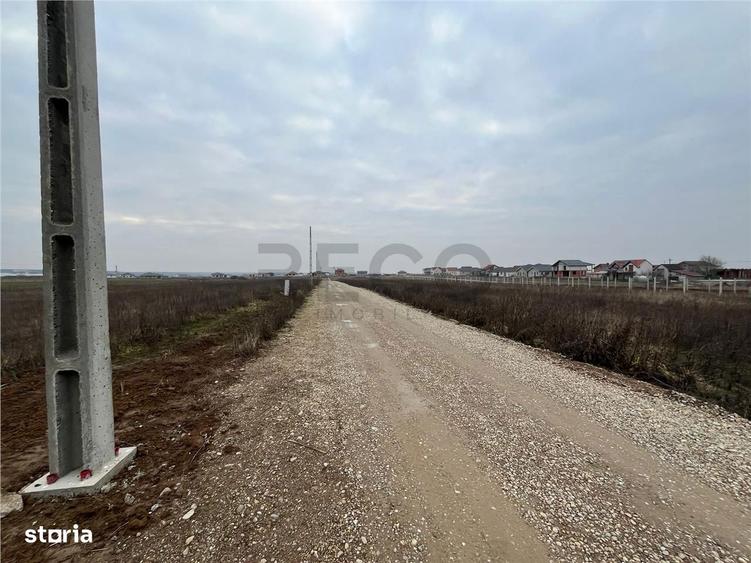 RECO Teren intravilan mixt -loc de casa sau servicii 500 mp Cihei - 3