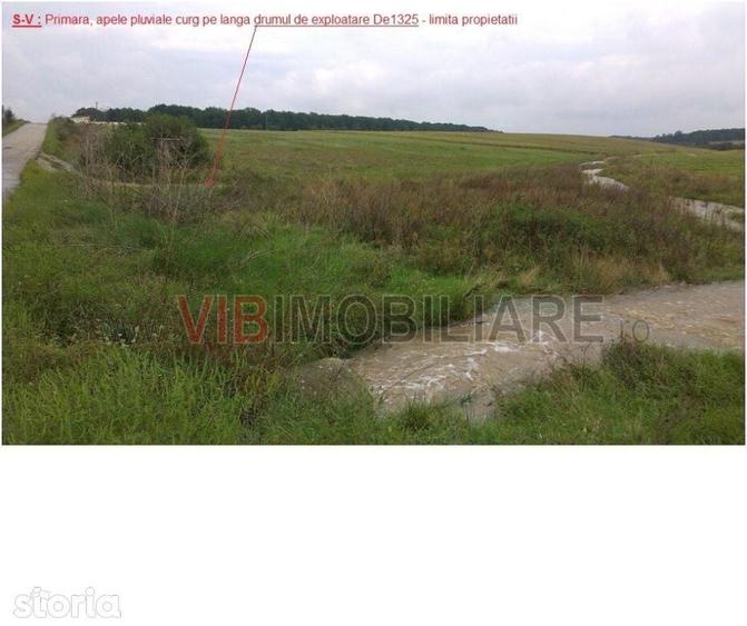 Craiova | Teren 17.400 mp | Deschidere 350 ml la DJ 552A | Intre padur - 2