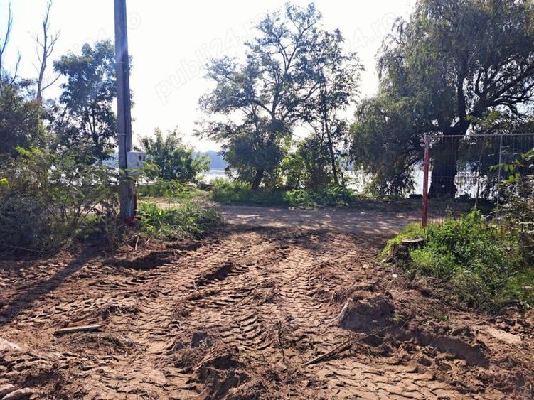 Ocazie! Ilganii de Jos, Nufaru, Intravilan, liber, pe malul Dunarii - 6
