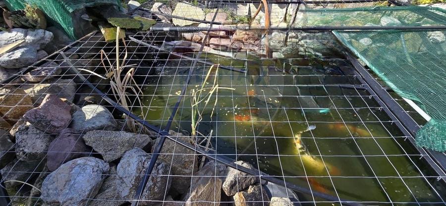 Casă cu etaj deosebită în Chișineu-Criș – un cămin creat cu suflet - 28