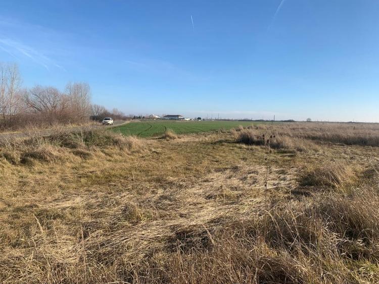 Teren pentru duplex in Sacalaz - 600 mp, in Spatele Cartierului Primaverii - 5