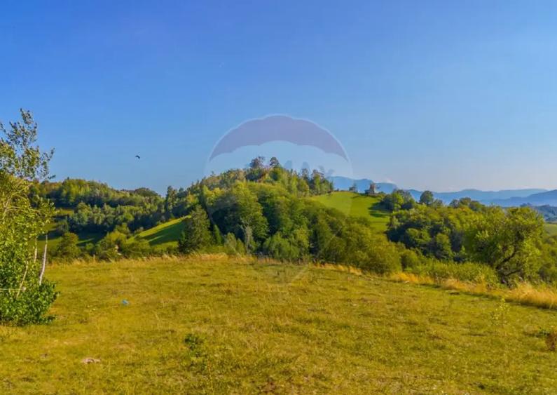 Teren extravilan 6,014mp | Holbav | BRASOV | COMISION 0| - 2