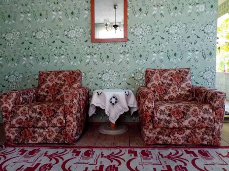 Vand 2 case si gradina - 2