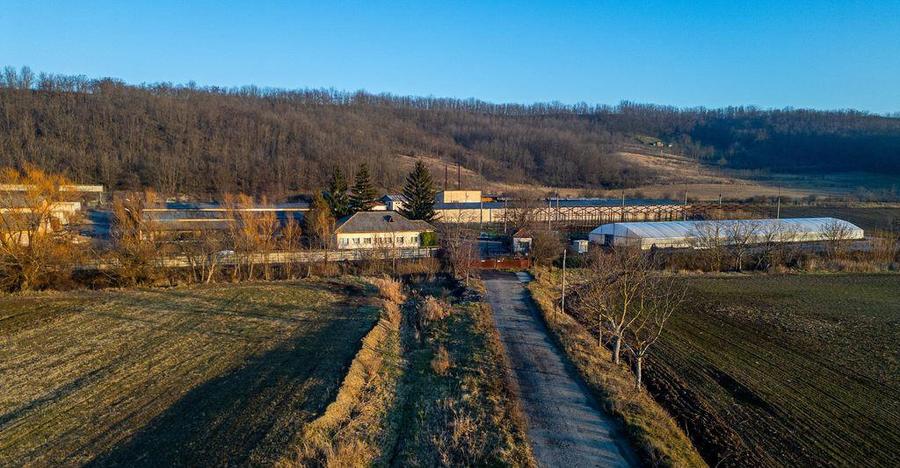 Fosta Ferma a Partidului de la Horgesti - de vanzare - 7