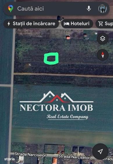 NECTORA IMOB-Ocazie-Teren Intravilan 567 mp, Livada de Bihor,Utilitati - 2