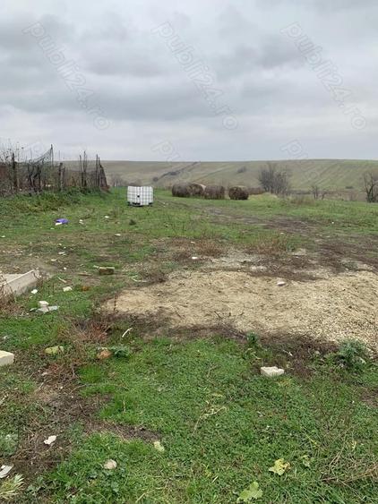 Casa de vanzare in Secas ,jude? Timis - 6