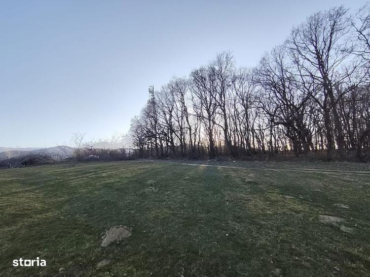 Teren extravilan Rasinari, zona Tropinii Noi - 1