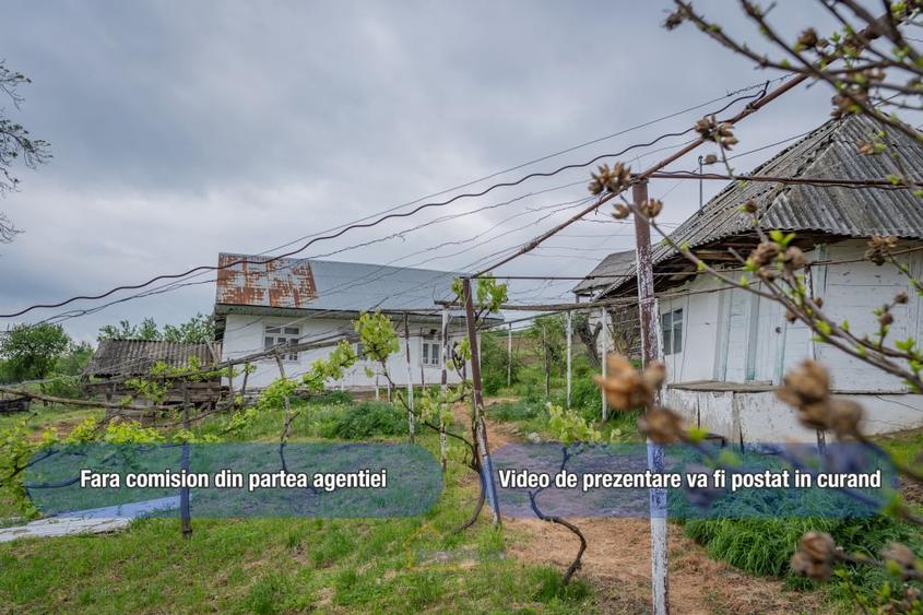 Casa in Ardeoani, 1.3ha teren - 1