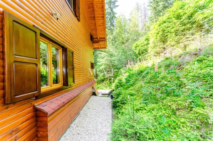 Casa 3 camere, 840 mp teren care include padure, Paltinis - 15