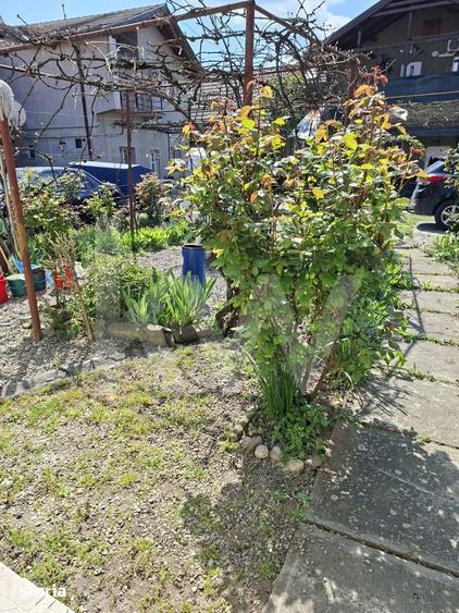 Apartament cu 2 camere, mobilat în Terezian