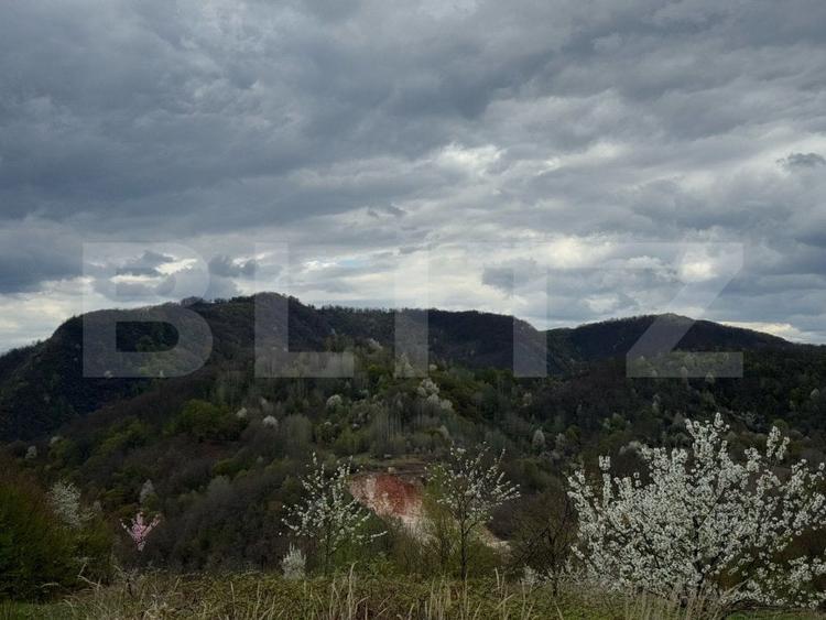 Casă individuală cu 2 camere cu Teren 10000 Mp în Hunedoara