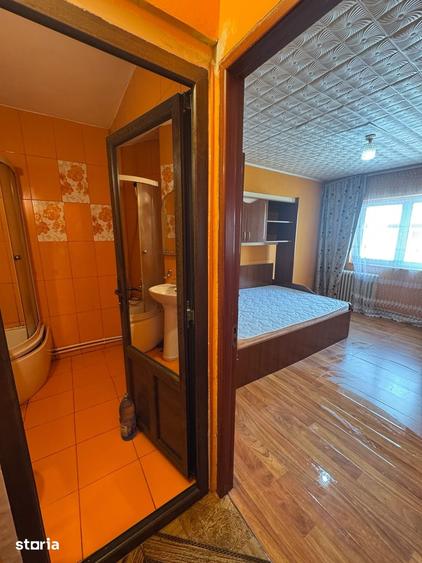 Garsonieră în Lotrului
