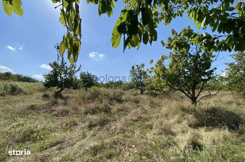 Terenuri de vanzare intr-o locatie exclusivista din Cluj - 2