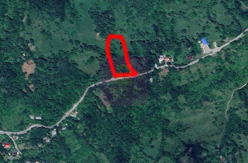 Teren de 3092 mp, în Telega