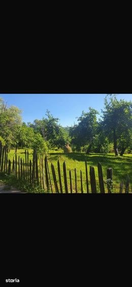 Teren de 1836 mp, în Șotrile