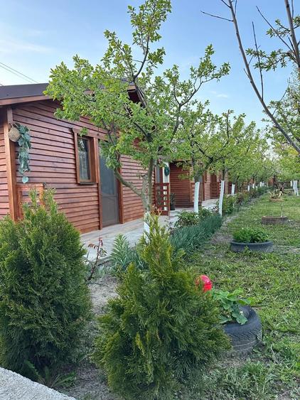 Casă cu 3 camere cu Teren 2700 Mp în Victoria
