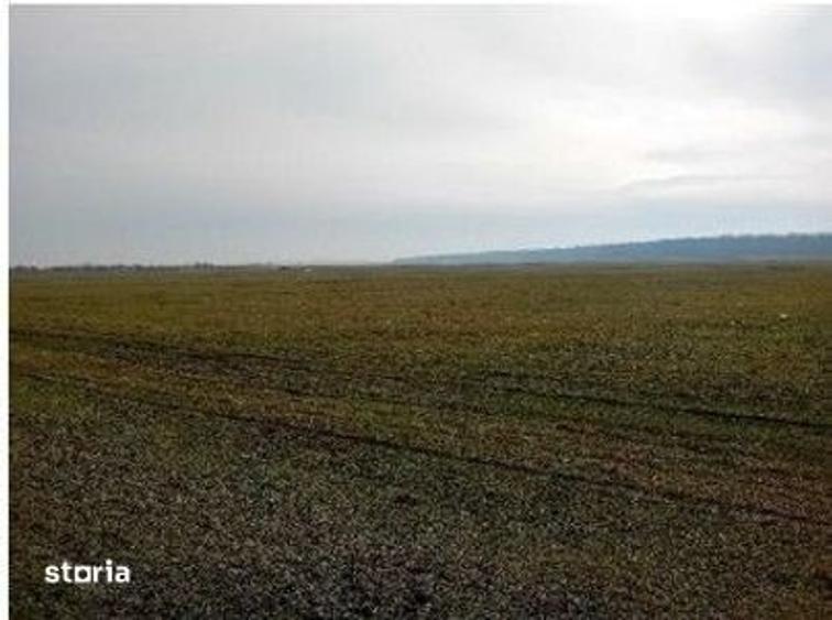 Teren de 635 mp, în Hârsești