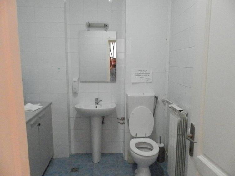 VANZARE VILA 9 CAMERE 320 MP UTILI CURTE INDEPENDENTA . - 2