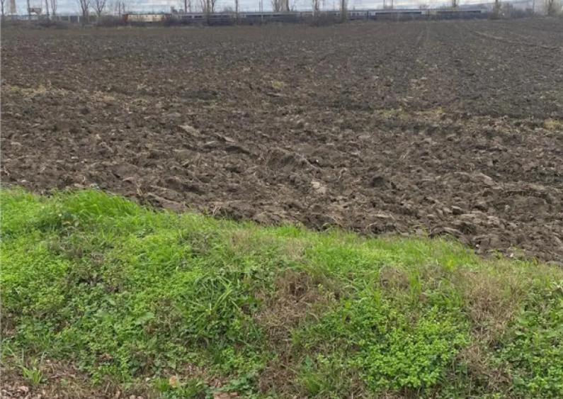 Teren Extravilan 10.000 mp in Prahova - 3