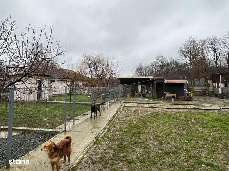 Teren intravilan 1000mp - 4