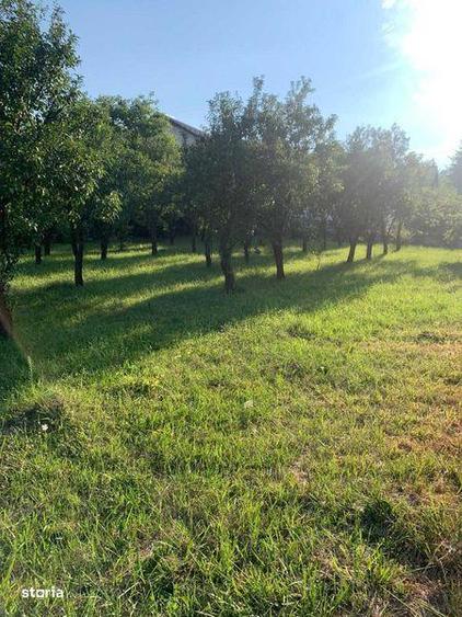 Vant teren Curtea de Arges - 6