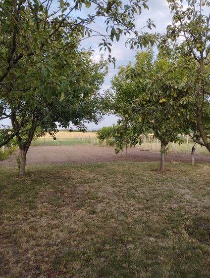 Casa de vanzare in Satu Nou - 7