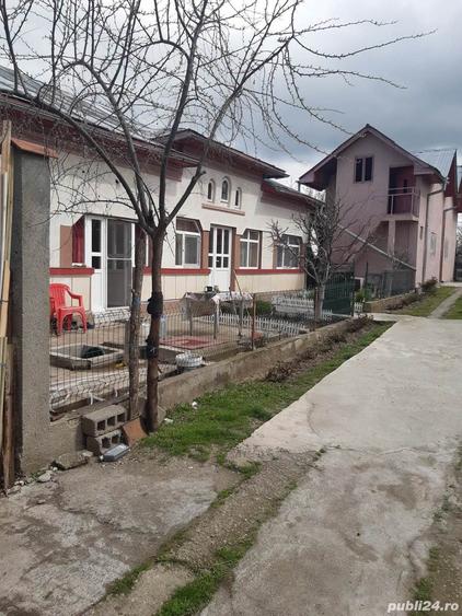 Casa cu 16 incaperi+pivnita +crama,curte,gradina, livada si vita de vie, in suprafata de 5800 m.p. - 5