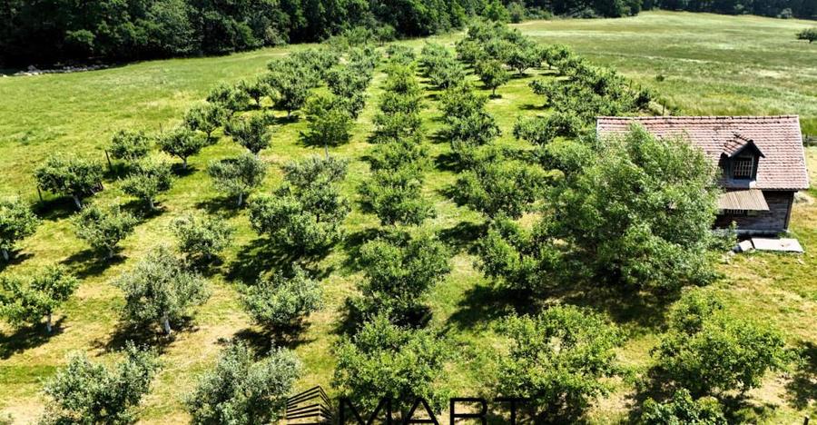 Teren extravilan 5000mp zona Cisnadie - 8