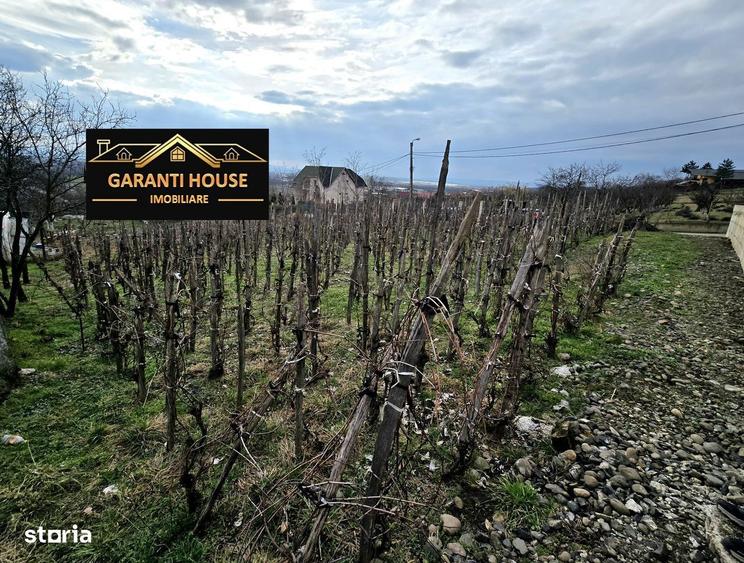 Victoriei (zona Dura), teren de vanzare, 600 mp, 33 000 negociabil - 2