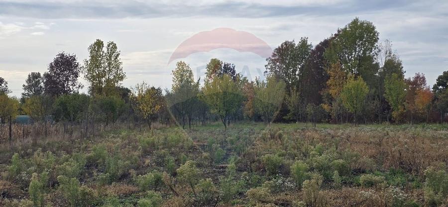 Teren generos cu potential în comuna Silindia, judetul Arad - 5